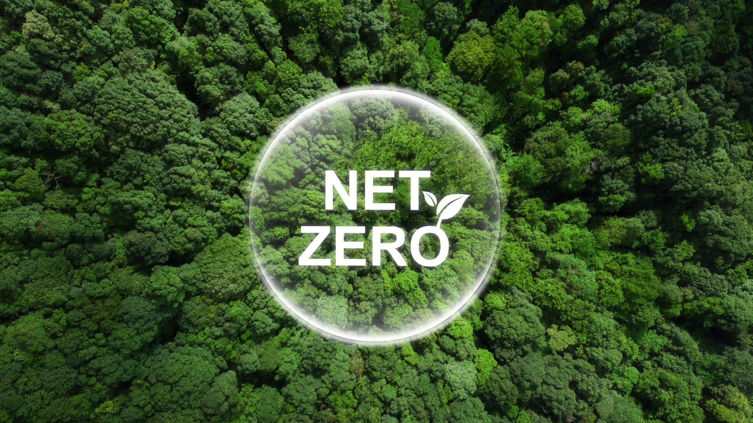 Net Zero and Carbon Neutral